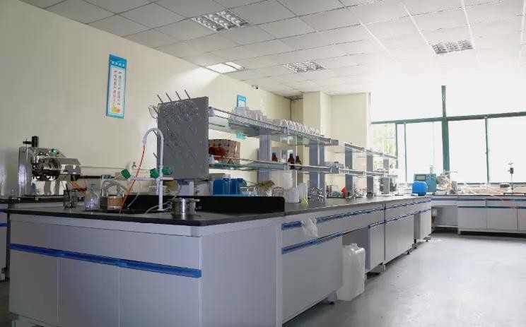 实验室91成人抖音视频